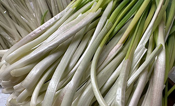 サムネール画像