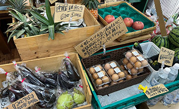 サムネール画像